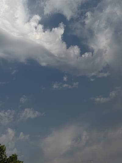 A cloudy sky is depicted, with a mix of dark and light gray clouds against a blue background. The clouds appear dense and textured, suggesting potential for rain or a change in weather. At the bottom left of the frame, the tops of green trees are visible, indicating an outdoor scene. A thin wire is stretched across the lower part of the image, possibly a power line. No people or specific landmarks of Chirchik, Uzbekistan, are identifiable in this image.