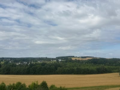 This is a wide landscape photograph taken from an elevated perspective. The foreground features a field of dry, golden crops, likely wheat or barley, stretching across the bottom of the frame. A line of lush green trees forms a distinct boundary between this field and the middle ground.

The middle ground is dominated by a dense forest of dark green trees. Nestled within and behind this forest is a small village or town, characterized by numerous buildings with red or grey roofs, interspersed with more trees. In the far distance, rolling hills are visible, some covered with forests and others with fields. The sky above is partly cloudy, with a mix of white and grey clouds scattered across a pale blue sky. The overall impression is a rural, bucolic scene under a dynamic, overcast sky. Based on the provided context, this scene is located in Schneeberg, Germany.