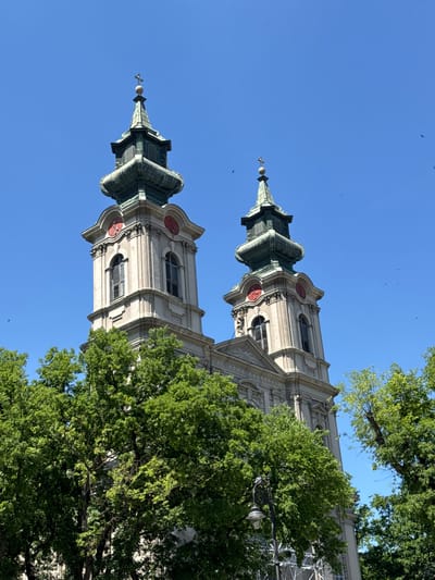 This is a daytime, eye-level, outdoor, medium shot of the steeples of the Roman Catholic Cathedral of Saint Teresa of Avila in Subotica, Serbia. The steeples are light gray with green roofs and topped with crosses. They have round red clock faces. The sky is clear blue. Lush green trees are in the foreground, partially obscuring the lower parts of the steeples. Several small birds are visible flying in the sky. A street lamp is visible to the right of the left steeple.