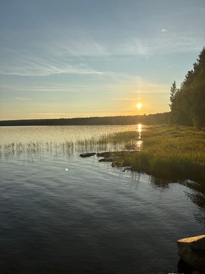 An unobstructed, full vertical shot captures a serene lake at sunset in Shuiskaya Chupa, Russia. The sun, a bright orb, is positioned low in the sky, casting a golden hue across the scene and reflecting on the water's surface. A line of dense coniferous trees forms the far bank of the lake, their dark silhouettes contrasting with the warm light. The foreground features calm water with subtle ripples, transitioning to shallow areas with reeds and rocks near the bank. A patch of tall, sunlit grass grows on the right bank, further illuminated by the setting sun. The sky above is a gradient of pale blue and yellow, with thin, wispy clouds streaking across the horizon. No people are visible in the image.