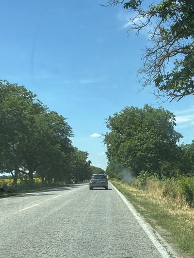 A dark-colored SUV is driving down a paved road lined with lush green trees. The road has a white dividing line. The sky is clear blue with a few wispy clouds. The scene appears to be a rural setting, likely on the outskirts of Dolni Dabnik, Bulgaria, given the dense foliage and natural environment. The sun is shining, casting shadows from the trees onto the road.