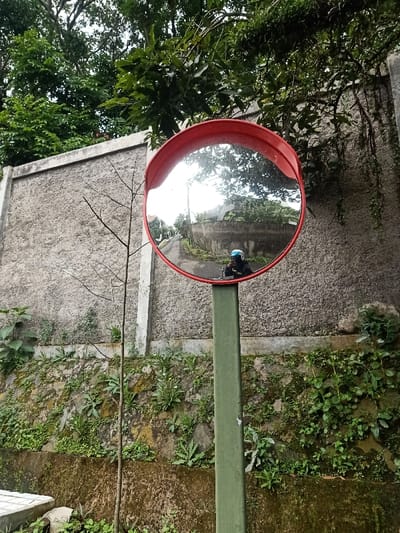 A convex safety mirror with a red frame and green pole stands amidst greenery. The mirror reflects a road curving uphill and the photographer. A stone wall covered in moss and small plants forms a backdrop, with trees and branches overhead. A bare tree stands to the left of the mirror. The overall scene appears to be a quiet, overgrown roadside area.