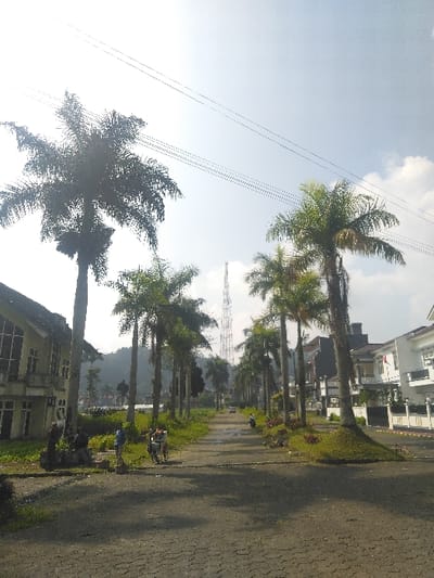 The image displays an outdoor street scene in Gadog, Indonesia, captured under bright daylight. A paved road, composed of interlocking concrete pavers, extends from the immediate foreground into the distance, appearing to converge towards a distant tower. The road is lined on both sides by numerous tall palm trees.
On the left side of the scene, a large, multi-story building with a distinctive roof and multiple windows is partially obscured by overgrown vegetation. Closer to the road on this side, a group of three individuals is present: one person in a light blue shirt stands beside a bicycle with an attached cart, while two other individuals are seated or crouched near a low, irregular rock formation. Beyond this, distant, forested hills are visible on the horizon.
On the right side of the road, a series of modern multi-story residential houses, predominantly white and gray, are visible behind fences. Small, grassy mounds featuring red-leafed plants are situated along the roadside. Further down the road, a white car and a motorcycle are observed, both moving away from the viewer.
In the background, a prominent, tall, metallic lattice telecommunications tower stands at the visual end of the road. The sky above is bright and mostly clear, with scattered white clouds, and multiple utility wires are visible stretching across the upper frame. Direct sunlight illuminates the scene, casting discernible shadows.