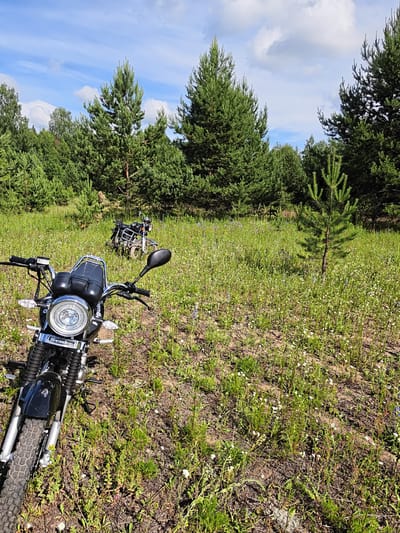 The image depicts a scenic outdoor setting with two motorcycles parked in a grassy, wooded area. In the foreground, a black motorcycle with a chrome headlight and handlebars is prominently displayed. Its front wheel and part of the tire are visible. In the background, a second motorcycle, also appearing to be black, is parked further into the clearing. The environment is characterized by lush green grass interspersed with small white wildflowers and scattered purple blossoms. Tall pine trees dominate the background, creating a dense forest canopy. The sky above is blue with scattered white clouds. The scene suggests a location that is rural and natural, possibly on the outskirts of Kharnavy, Russia, given the context provided. There are no people visible in the image. The lighting indicates it is daytime, likely a sunny day.