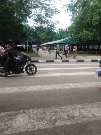 The image displays a street scene in Ota, Nigeria, under an overcast sky. A paved asphalt road with white zebra crossing stripes occupies the mid-ground, bordered by a black and white painted curb on the right.
On the left side of the road, a dark-skinned male operator is seated on a black motorcycle, facing right, with a passenger behind him. Both are partially visible; the operator wears a dark suit jacket. Directly on the pedestrian crossing, three dark-skinned individuals are walking from left to right: a male in a light grey suit jacket carrying a dark shoulder bag, a male in a light blue shirt also with a dark shoulder bag, and a female in a multi-colored garment and flip-flops, holding a white plastic bag.
Behind the curb, a pedestrian pathway runs parallel to the road, featuring a long series of interconnected structures with dark green, possibly tarp-like, roofs. Numerous individuals are visible on this pathway, including a person in a light pink dress with a child in a patterned dress, walking away from the camera. The background is characterized by dense, lush green trees that extend overhead, partially obscuring the sky.