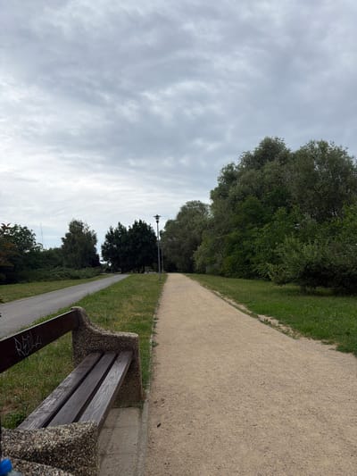The image shows a park path with a gravel surface on the right and a paved path on the left. A wooden park bench with concrete supports is visible in the foreground on the left side of the frame. The bench has graffiti on its wooden backrest. A street lamp is visible on the right side of the paved path, further into the park. Lush green trees and bushes line the park paths, and the sky is overcast with clouds. The scene appears to be in a park in Szczecin, Poland.