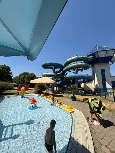 The image depicts an outdoor swimming pool area, likely at a water park, on a sunny day. In the foreground, a young boy in dark swimming trunks stands at the edge of a shallow pool with a tiled bottom. The pool features several brightly colored plastic pool toys, including a yellow elephant with red wings, a red and yellow fish-like toy, and yellow snake-shaped elements. Further back, a person wearing a black and yellow towel with a gecko pattern is bending down, seemingly interacting with something near the pool's edge.

Dominating the background are tall, winding water slides, some in blue and others in green, culminating in a distinctive tower with a blue, glass-enclosed top. Palm trees and other greenery surround the area, with a large, light blue umbrella providing shade in the upper left portion of the frame. The overall environment suggests a recreational facility designed for water-based activities. The location is identified as the monte mare Freizeitbad Rheinbach in Rheinbach, Germany.