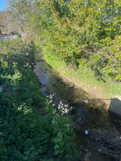 The image displays an overhead view of a narrow, shallow stream winding diagonally from the upper-right to the lower-left of the frame. Both banks are densely covered with vibrant green vegetation, suggesting a lush, natural environment. On the left side, numerous trees and bushes with verdant leaves and occasional small white blossoms dominate, indicating spring or early summer.
The stream's water appears somewhat dark and murky in areas, contrasting with brighter patches that reflect the clear, sunny sky above. Visible within the water, especially in the shaded sections, is an accumulation of litter, including several plastic bottles and cans. Bare branches and twigs are also scattered in the stream and along its edges.
Towards the upper-right corner, a grey concrete structure, possibly part of a bridge or culvert, partially casts a shadow over the water. The right bank is heavily vegetated with various types of green ground cover and bushes, some displaying small white flowers. In the distant background on the far left, a metallic structure, possibly a fence or gate, can be faintly seen through the trees.
The scene is brightly lit by natural sunlight, with distinct shadows indicating a clear day. No people or animals are visible, and there is no discernible text on any object. The image portrays a seemingly natural waterway that shows signs of neglect due to human-generated debris. The location appears rural or semi-urban, consistent with South Kesteven, United Kingdom.