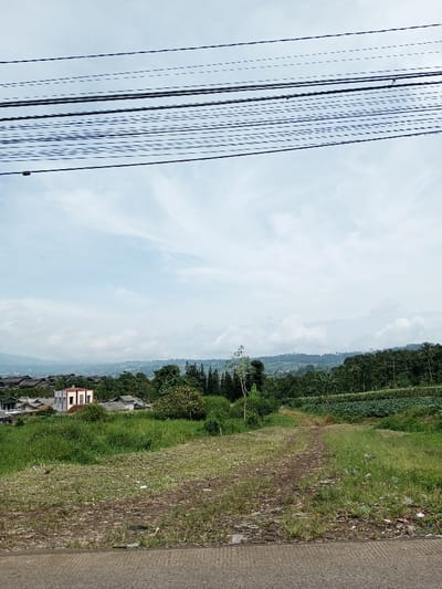 This image depicts a panoramic view in Kandenuwara, Sri Lanka, showing a rural to semi-urban landscape under a partly cloudy sky. The foreground features a grey, concrete or paved surface at the very bottom, followed by an unkempt grassy field. A narrow, unpaved dirt path traverses the grassy area, originating from the center-right and extending towards the distant hills. To the left, a cluster of residential structures is visible, including a prominent light-colored, multi-story building with distinct architectural features and other smaller houses partially obscured by dense green foliage. To the right of the dirt path, cultivated green crops are visible in rows. The mid-ground is characterized by various trees and dense vegetation. The background consists of rolling hills extensively covered in lush green forests and scattered residential development. The sky is light blue with dispersed white and grey clouds. The upper portion of the frame is dominated by numerous parallel black utility wires strung horizontally across the sky. No individuals, animals, or explicit actions are observed within the scene.