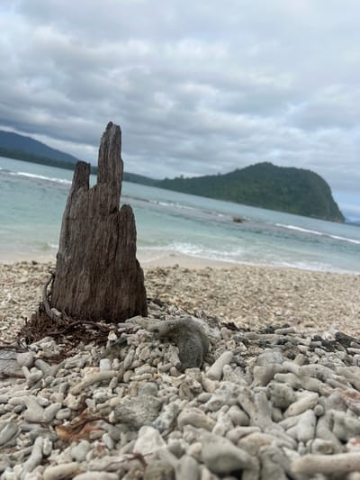 This image depicts a close-up view of a weathered wooden stump on a beach in Kruengtunong, Indonesia. The stump is positioned in the foreground, with its rough, textured surface and split top dominating the frame. It is surrounded by a scattering of white coral fragments and pebbles. In the background, the turquoise ocean meets a sandy shoreline, beyond which lush green hills and mountains rise under a cloudy sky. The scene suggests a natural, undeveloped coastal environment.