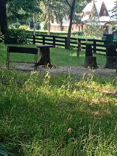 The image depicts an outdoor scene with lush green grass in the foreground, interspersed with tall blades of grass. In the midground, a dark-colored metal grill stands on the left, next to a tree stump that serves as a table. A dark wooden fence stretches across the middle ground, with tree stumps visible behind it. In the background, the image shows a residential building with a pitched roof, surrounded by trees and greenery. Two green trash cans are visible near the fence. The scene appears to be a park or a recreational area, possibly in a rural or suburban setting. The presence of the grill and table suggests a picnic or barbecue area. The overall atmosphere is tranquil and natural. There are no people visible in the image. The location is identified as Capriana, Moldova.