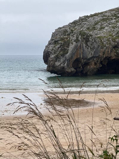 This is a vertical, eye-level, medium shot of a beach with a rocky cliff face. The cliff, composed of grey and brown layered rock, juts out from the left side of the frame, creating a shadowy alcove. The ocean meets the beach, with gentle waves lapping at the shore. The sand is a light beige, marked by streaks of darker, wet sand and the shadows cast by blades of grass. In the foreground, several dried grasses with feathery seed heads extend into the frame from the right, their delicate structures contrasting with the solidity of the rock. The sky is overcast, a uniform pale grey, suggesting a cool, possibly misty day. The overall mood is serene and natural, with a focus on the textures and forms of the landscape. The scene appears to be a natural, undeveloped beach, likely in a coastal area. There is no text visible in the image.
