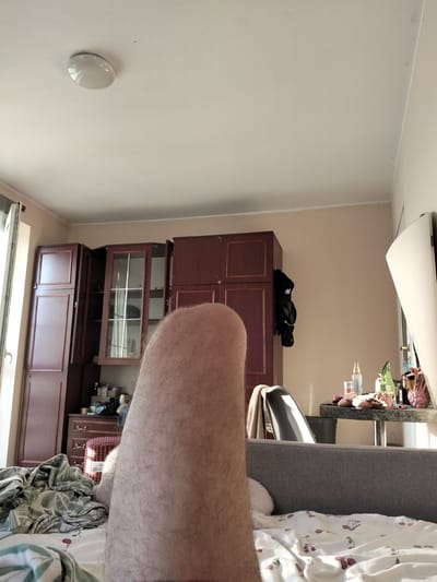 A person's hairy leg is the dominant subject in the foreground of this indoor scene, which appears to be a bedroom or living area. The leg is positioned vertically, taking up a significant portion of the lower and central frame. Behind the leg, a grey upholstered sofa is visible, covered with a white sheet patterned with cherries. Further into the background, a dark wooden wardrobe or cabinet unit with glass-fronted sections stands against a beige wall. A table with various items, including bottles, makeup brushes, and a pink pineapple-shaped holder, is situated to the right of the wardrobe. A window with a vertical blind is partially visible on the far left. The lighting suggests it is daytime. The scene does not provide any specific details to indicate the location as Brodnica, Poland.