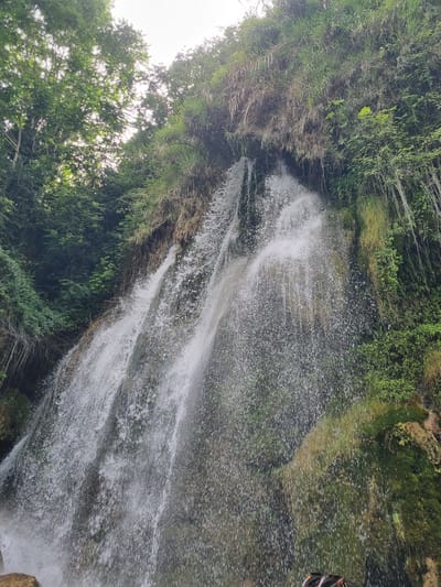 The image depicts a waterfall cascading down a rocky, vegetation-covered cliff face. The water is in mid-fall, creating a misty spray that is visible throughout the scene. Lush green foliage, including trees and various types of plants, surrounds the waterfall and drapes over the top of the cliff. The sky above is bright, suggesting daylight. The scene is natural and appears to be in a wilderness setting. There are no visible people or man-made structures in the immediate vicinity of the waterfall. The image is taken from a low angle, looking up towards the top of the waterfall.