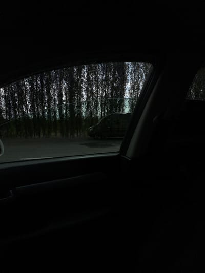 The image, taken from inside a vehicle, shows a view through the side window. Outside, a line of tall, dark trees stands against a cloudy sky. A dark-colored van is parked in front of the trees, on what appears to be a paved surface, possibly a road or parking lot. The interior of the car is dark and out of focus. The overall lighting suggests it is either early morning, late evening, or a heavily overcast day. The scene is located in the city of Istiqlol, Uzbekistan.