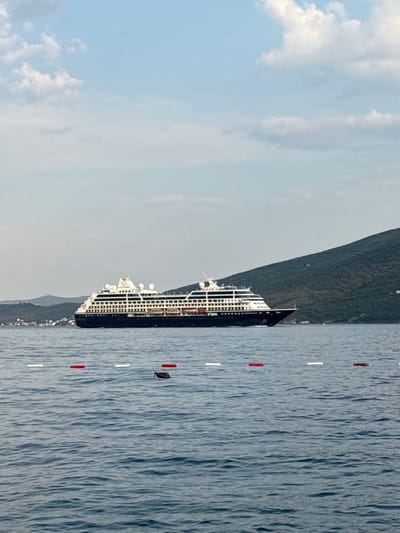 A large, dark blue cruise ship with white upper decks sails on a calm, blue sea under a partly cloudy sky. The ship has multiple decks with rows of windows and lifeboats visible. In the background, a lush, green, tree-covered mountain slopes down towards the water, with scattered buildings visible on its lower slopes and along the coastline. In the foreground, a line of white and red buoys mark a boundary on the water. The scene appears to be in or near Đenovići, Montenegro, given the characteristic mountainous coastal landscape.