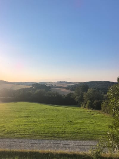 The image depicts a panoramic view of a rural landscape under a clear blue sky. In the foreground, a lush green field slopes gently upwards, with distinct rows indicating recent mowing or cultivation. A simple wire fence runs horizontally across the lower portion of the frame, separating the field from a gravel path. Beyond the green field, a series of rolling hills dominate the mid-ground, interspersed with patches of trees and cultivated fields. The trees form dense clusters, with some appearing darker and more mature than others. The far background features more distant hills and a hazy horizon. The overall impression is one of serene, natural beauty, characteristic of the countryside surrounding Weischlitz, Germany. The time of day appears to be late afternoon or early evening, with the sun casting a warm glow on the landscape, as evidenced by the soft light and subtle color variations in the sky. There are no people or animals visible in the image. The environment is peaceful and undisturbed.