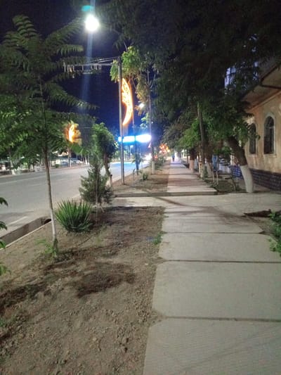The image captures a nighttime scene on a sidewalk in Dustlik, Uzbekistan. A paved sidewalk, constructed from concrete slabs, runs along the right side of the frame, bordered by dirt and sparse vegetation. Trees with dark green foliage line the sidewalk, some with their trunks whitewashed. Beyond the trees, a street is visible with streetlights illuminating the area. A building with arched windows and a textured facade is present on the far right. In the distance, a lone individual walks away from the camera. The overall atmosphere is illuminated by artificial lights, suggesting a residential or commercial area within the city.