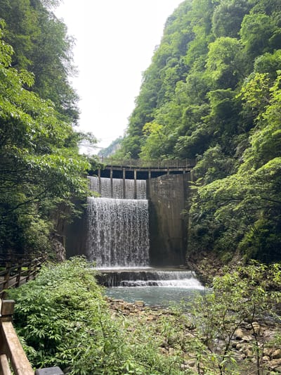 This is an eye-level, outdoor photograph of a tiered waterfall cascading over a concrete dam structure, surrounded by lush green vegetation. The location is in Zhangjiajie, China.
The dam, a grey, aged concrete structure, is divided into multiple horizontal sections, creating a series of cascading waterfalls. Water flows over the dam in a uniform sheet, creating a visual effect of layers. A wooden fence-like structure with crossbeams is visible along the top of the dam.
The dam is nestled within a natural environment. Dense green foliage covers the slopes on either side of the dam. The vegetation appears to be a mix of trees and shrubs.
In the foreground, additional green foliage is present, including leafy bushes and some bare tree branches. In the extreme lower right corner, part of a wooden railing is seen, suggesting the presence of a walkway or viewing platform. The sky above the vegetation appears overcast and grey.