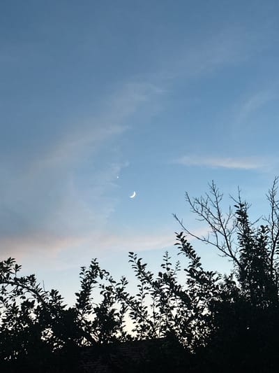 The image shows a sky with a crescent moon and a bright star or planet. The bottom of the image is filled with silhouetted tree branches and foliage, suggesting an outdoor setting, possibly in a park or garden. The lighting indicates it is either dusk or dawn. There are no people or explicit signs of urban structures visible in the immediate foreground. The background sky is a gradient of blue and pale pink, with some wispy clouds. The location in Marten, Bulgaria cannot be determined from the visual information provided.