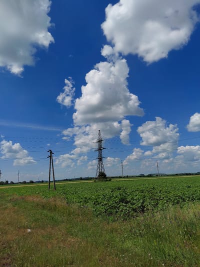 The image depicts a rural scene on a bright, sunny day with a clear blue sky dotted with fluffy white clouds. The landscape is dominated by a vast green field, likely agricultural, stretching horizontally across the frame. Adjacent to this field is a grassy area with wildflowers, suggesting a meadow or uncultivated land. Two prominent power lines stretch across the scene, supported by tall pylons. One large lattice tower, likely a high-voltage electricity pylon, stands on the left side of the image, while a smaller wooden pole supporting wires is visible further down the line. The presence of these power lines indicates infrastructure in a rural or semi-rural setting. The bright sunlight and blue sky suggest fair weather, likely midday or afternoon. The overall impression is one of a peaceful, open rural landscape in Ukraine. No people or text are visible in the image.