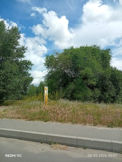The image shows a sunny day with fluffy white clouds in a bright blue sky, seen from a low angle. In the foreground, a paved sidewalk runs horizontally across the frame, bordered by a concrete curb and a patch of dry grass. Beyond the sidewalk, a field of tall, dry grass with scattered small flowers extends towards a dense line of trees. A yellow marker post stands among the grasses, approximately in the center of the frame, with some faded writing on it. The trees are lush and green, forming a thick canopy that obscures the background. The image appears to have been taken from a moving vehicle, as indicated by the slight blur and the timestamp in the bottom right corner. The text "REDMI 15C" is visible in the bottom left corner, indicating the device used to capture the image. The timestamp "26.06.2026 10:57" suggests the photo was taken on June 26, 2026, at 10:57 AM. While the image itself does not provide explicit geographical markers, it depicts a roadside scene with vegetation and a clear sky.