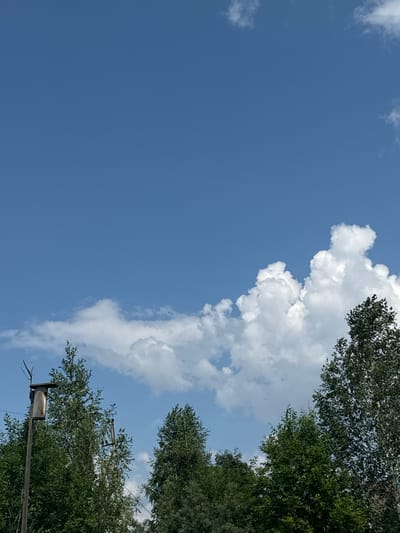 An outdoor, vertical, medium shot captures a bright, clear blue sky with scattered white cumulus clouds above a dense canopy of green trees. In the lower left quadrant, a weathered, wooden birdhouse stands atop a pole, its entrance facing the viewer. The surrounding trees are lush and full of leaves, with some taller trees on the right side of the frame. Power lines are visible crisscrossing between the trees. The scene appears to be located in Chernoistochinsk, Russia, suggesting a natural, rural, or suburban setting with established vegetation and infrastructure. There are no people or animals visible in the image, nor any apparent actions or interactions.