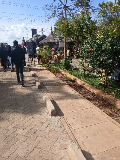 The image depicts an outdoor scene in Thika, Kenya, under a bright, clear blue sky with minimal cloud cover.

In the foreground, a light-colored interlocking concrete paver pathway, laid in a herringbone pattern, dominates the left side. To its right, a parallel pathway composed of light gray rectangular concrete slabs is visible, bordered by a series of short, light gray concrete curb blocks. Adjacent to the slab pathway is a landscaped garden bed containing dark soil, various green shrubs, and small plants, some bearing red blossoms.

In the mid-ground, a person wearing a black jacket and dark pants is captured walking away from the camera on the paver pathway, moving towards the center of the scene. To their left, a large, black audio speaker is mounted on a tripod stand, also positioned on the paver pathway. Further into the mid-ground and background, multiple individuals are visible, either walking or standing, distributed among trees and structures. One person in a yellow top is discernible on the right side of the background.

The background is characterized by architectural and natural elements. A dark, rocky formation, possibly a grotto, is visible, topped with a prominent brown wooden cross. Adjacent to this formation are at least two circular structures with conical thatched roofs. Lush green trees and dense foliage are abundant, contributing to a vibrant environment. Overhead power lines are visible stretched across the upper left quadrant of the sky. A light-colored vehicle is partially visible on the far right edge, obscured by foliage. A wooden signpost stands near the thatched structures. The scene suggests a public gathering area or a site with religious or cultural significance.