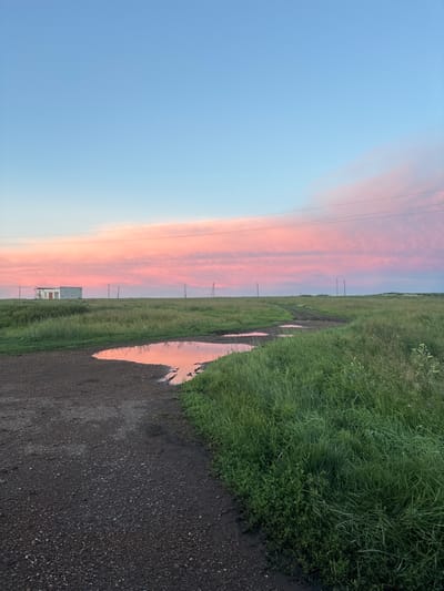 This is a vertical, full-shot photograph taken during sunset in a rural area. The sky dominates the left side of the image, transitioning from a pale blue at the top to soft pinks and oranges from the setting sun closer to the horizon. Wispy clouds are visible in the pink and orange hues.
The right side of the image depicts a dirt road with several puddles reflecting the sky. Adjacent to the road is a dense, green grassy field. A few utility poles are scattered across the landscape. In the middle ground, a small, white house with a red-trimmed window is visible. The overall scene suggests a peaceful and serene rural setting. The time of day is clearly sunset due to the colors in the sky and the reflections in the puddles. There are no people or animals visible in the image. No text is present.