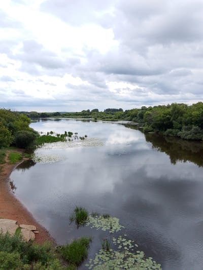 A wide, calm river flows through a lush, green landscape under a cloudy sky. The water's surface is a dark, reflective mirror, showing distorted images of the overcast sky and the dense foliage that lines both banks. Patches of water lilies dot the river, their flat green pads scattered across the dark water.
On the left bank, a sandy shore meets the water, with some rocks and vegetation at the edge. The right bank is a solid wall of green, a mix of trees and shrubs, their reflections stretching deep into the river. In the distance, the river widens, and the banks recede, revealing more trees and a hazy horizon. A few thin, dark lines that could be distant birds or debris are visible on the water's surface in the middle distance.
The sky is filled with a thick layer of grey clouds, suggesting an overcast or possibly rainy day. The light is diffused, casting a soft, even glow over the scene. The time of day is indeterminate, but the quality of light suggests it could be morning or afternoon. There is no visible text in the image. The overall mood is serene and tranquil, evoking a sense of natural beauty and quiet contemplation. The location is suggested to be Orekhovo-Zuyevo, Russia, a region known for its rivers and forests.