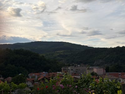 The image depicts a view of Belovo, Bulgaria, with a cluster of residential buildings in the foreground, nestled against a backdrop of verdant, forested hills. The sky above is partly cloudy, with dramatic formations of white and gray clouds. In the immediate foreground, a dense canopy of green foliage, interspersed with blooming roses of various colors, partially obscures the view of the rooftops and structures below. The buildings are predominantly constructed with red-tiled roofs, characteristic of older European architecture. Among the residential houses, a few multi-story apartment buildings are visible, suggesting a mix of dwelling types within the town. The overall impression is one of a serene, rural town embraced by nature, bathed in the soft light of what appears to be late afternoon or early evening.