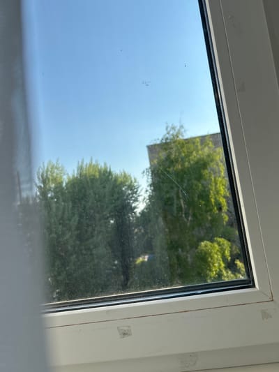 The image shows a view through a window. The window has a white frame and a black rubber seal around the glass. Outside, there are trees, suggesting an outdoor or natural environment. Part of a building is also visible in the reflection. The glass has minor scratches and blemishes. The image lacks contextual clues to place it specifically in Raduga, Russia. There are no people or interactions visible in the image.