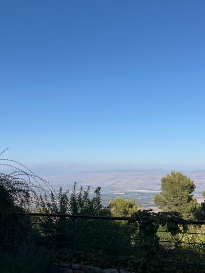 The image presents a panoramic landscape view from an elevated vantage point within the Merom HaGalil Regional Council, Israel. The upper half of the frame is dominated by a clear, unblemished bright blue sky. The distant horizon features a range of hazy, muted brown-grey mountains. Below the mountain range, a wide valley or plain unfolds, displaying a patchwork of light green agricultural fields interspersed with darker green tree clusters and lighter sections indicative of sparse development.
A dark-colored, horizontal metal railing or fence traverses the lower foreground, partially concealed by dense vegetation. Immediate foreground elements include: to the left, a thorny bush with dark green, arching branches; centrally, several tall plants exhibiting dark green foliage and visible reddish-purple inflorescences; and to the right, a large conifer tree with dense, verdant needles. A climbing vine with dark green leaves is observed on the right segment of the railing. All foreground vegetation and the railing are cast in shadow, while the distant landscape is brightly illuminated. No individuals or animals are present, and no overt actions or interactions are depicted.