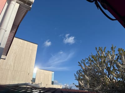 The image shows a view upwards in Simferopol, Ukraine, featuring buildings, a tree in bloom, and a blue sky with scattered clouds. A beige-colored building with a reflective window is seen on the left, contrasted with a tree with white flowers on the right. The sky is a clear blue with wispy clouds. Part of a roof is visible in the foreground and portions of a building roof are also evident.