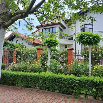 In the city of Tairove, Ukraine, a well-maintained residential property is showcased. The foreground features a red brick paver walkway bordering a meticulously trimmed green hedge. Beyond the hedge, a black metal fence encloses a vibrant garden filled with blooming roses in various shades of pink and yellow, interspersed with lush green foliage. Two decorative trees with rounded tops, their trunks painted white, stand prominently within the garden. The fence is punctuated by brick pillars. In the background, a two-story white house with a tiled roof is visible, featuring multiple windows, some with balconies. The house is partially obscured by the branches of a large tree in the left foreground, which has a white-painted trunk. The sky above is partly cloudy.