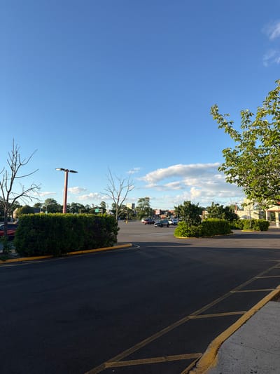 A medium shot captures an outdoor parking lot on a clear day in Riverhead, United States of America. The sky is a vibrant blue, with scattered white clouds. In the foreground, a dark asphalt surface is marked with yellow lines, indicating parking stalls and a yellow curb. To the left, a manicured green hedge runs along the edge of the parking lot. A tall lamppost with a modern fixture stands behind the hedge. Two bare trees, likely deciduous, with branching limbs are positioned on either side of the lamppost. In the mid-ground, several cars are parked in the lot, and more trees and buildings are visible in the distance, suggesting an urban or suburban setting. A tree with green leaves is prominently featured in the upper right corner of the frame.