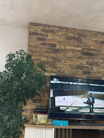 The image shows an indoor scene featuring a television screen displaying a man in a green jacket and blue jeans. To the left of the television, a large potted plant with dense green foliage is visible. Behind the plant and the television is a brick wall with a textured, rustic appearance. Above the brick wall, the ceiling is a light, textured white. On the shelf beneath the television, a small golden pineapple ornament, a yellow candle in a glass jar, and other decorative items are placed. The overall setting appears to be a living room. The city of Sarnitsa, Bulgaria is not visible in this image.