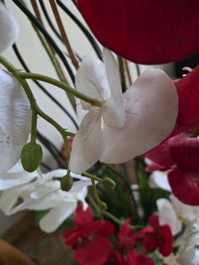 In the city of Bireuenmeunasahblang, Indonesia, a close-up shot captures a bouquet of artificial flowers. The bouquet features a prominent white orchid with delicate petals and a central bud. Alongside the white orchid, several red flowers are visible, some appearing as large, rounded petals and others as smaller, more detailed blossoms. Green stems and buds are interspersed throughout the arrangement. The background is a soft, out-of-focus light color, suggesting an indoor setting. The lighting is even, highlighting the textures and colors of the artificial flowers.