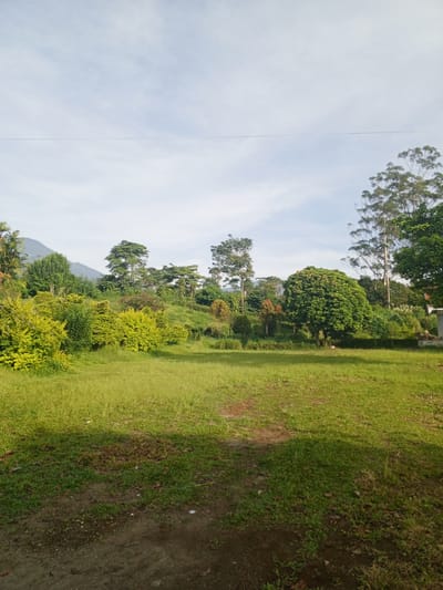 The image depicts a grassy field bordered by a variety of trees and shrubs. In the background, a mountain is visible against a sky with light clouds. A power line runs horizontally across the upper part of the image. The foreground shows a dirt area transitioning into the grass. The location is not confirmed to be within the city of Thalang, Laos.