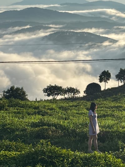 A woman in a light purple dress stands in a grassy field overlooking a valley filled with fog and layered mountains. The woman is facing to the right of the frame, with her right arm raised to shield her eyes from the sun. The field is lush green and appears to be terraced, with rows of low-lying plants and taller grass. In the background, several trees dot the landscape, and a large, dark, rounded rock formation is visible on a hillside. The fog obscures the lower parts of the mountains, creating a layered, ethereal effect. The sky is overcast with patches of light suggesting the sun is breaking through. The scene is likely from a high vantage point, possibly a viewpoint in or near Phát Chi, Vietnam, known for its scenic mountain landscapes and fog-covered valleys. There are a few distant figures visible on the hillside further back.