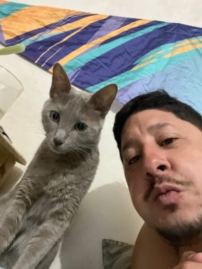 An image taken in Bernal Este, Argentina, depicts an indoor scene featuring one adult male and one domestic cat. The male, visible from the chest up and positioned on the right, is a light-skinned individual with a mustache and short beard, making a pursed-lip expression directly at the camera, indicative of a selfie. To his left, a lean, light gray (blue-gray) cat with prominent ears and green-amber eyes is seated upright, also looking directly into the camera. The background consists of a plain white wall, and a colorful textile featuring horizontal stripes in orange, purple, blue, and light blue is draped across a surface behind them. A partial view of a clear glass or container and a light-colored wooden object are visible on the far left of the frame.