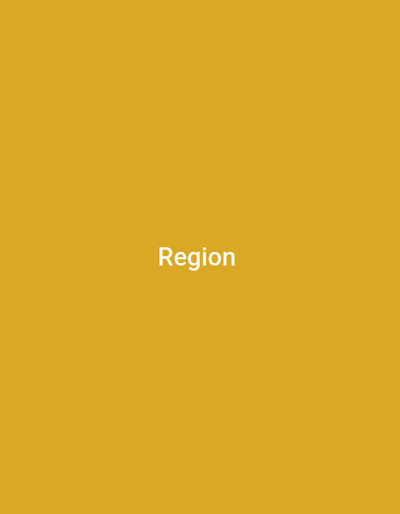 The image is a solid, unadorned ochre-colored background. Centered within the frame, in a white sans-serif font, is the single word "Region". There are no other discernible objects, people, or environmental features present in the image. The setting is not specified to be in the city of Wuro Ngangandi, Nigeria.