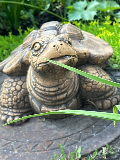 A close-up, eye-level shot shows a weathered, concrete statue of a turtle in a garden setting. The turtle is positioned on a circular, metallic surface with a raised geometric pattern. The statue is detailed, with visible scales on its shell and legs, and a somewhat grumpy expression on its face. Green foliage, including grass and larger leaves, is visible in the background and foreground, some blades of grass partially obscuring the turtle. The lighting suggests it is daytime. There is no information or visual evidence to suggest the location is the city of Oryol, Russia.