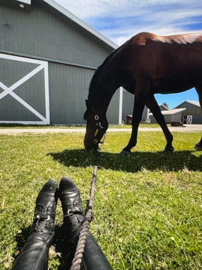 The scene depicts an outdoor equestrian setting, likely within Electoral Area A, Canada, though the precise city or rural community is not discernible from the image. The viewpoint is low, looking over two black, lace-up riding boots, which are extended on a sunlit expanse of green grass. A dark, braided lead rope lies between the boots, extending towards a large brown horse positioned in the mid-ground. The horse, wearing a dark halter with visible metal rings, has its head lowered, actively grazing on the grass. It casts a distinct shadow. In the background, a prominent two-story, dark green barn with a light gray roof is visible on the left. This barn features two large white sliding doors, each adorned with a diagonal "X" pattern created by white trim. To the right of the barn, a smaller, lighter-colored building with a dark roof is partially visible, and an old wagon wheel or similar rustic equipment is faintly discernible near it. The sky above is blue with scattered white clouds, indicating clear, sunny conditions. The interaction suggests a supervised grazing session, with a person (whose boots are visible) holding the lead rope attached to the horse.