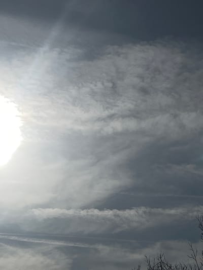 The scene depicts an overcast sky over Trastikovo, Bulgaria. A bright, partially obscured sun is visible on the left side, emitting a strong glare and illuminating surrounding white and light gray cloud formations. The cloud cover extends across the entire frame, transitioning to darker shades of gray and blue-gray towards the top and right. Multiple linear contrails, consistent with aircraft exhaust, traverse the mid-ground and upper-right sections of the sky. In the lower right corner, silhouetted against the sky, are the bare, dark branches of a deciduous tree. No individuals or specific actions are discernible.