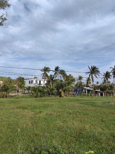 The image displays an undeveloped plot of land in Tuy Phong 4, Vietnam, under a cloudy sky. The foreground is dominated by an expanse of unkempt green grass, showing variations in density and growth. In the midground, multiple black utility lines traverse horizontally. Beyond these lines, two primary structures are visible amidst dense tropical foliage, primarily composed of palm trees of varying heights. To the left, a modern, two-story white building with dark-framed windows and a balcony is situated. To the right, a smaller, single-story grey building is partially obscured by trees, with a red flag or banner visible on its right side. No individuals or observable activities are present in the scene.