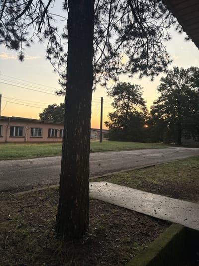 The image depicts an outdoor scene at what appears to be dusk or dawn, with the sky displaying warm, soft hues of orange and yellow. In the foreground, the dark silhouette of a tree trunk dominates the left side of the frame. Its branches, also silhouetted, extend upwards and across the top of the image. To the left of the tree, a long, narrow building with a light-colored facade and multiple windows is visible. Power lines stretch horizontally across the background. Further to the right, several large, dark trees are silhouetted against the brightening sky, with a glimpse of the setting or rising sun peeking through them. A paved road or pathway curves through the scene, with a concrete walkway running parallel to it in the lower right. The ground surrounding the walkway and road is covered with grass and dry leaves. The overall impression is one of a quiet, possibly rural or semi-urban environment, with the natural element of the tree in the foreground and the man-made structures in the background. The location is identified as Zgalevo, Bulgaria.