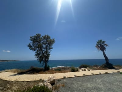 This is a landscape photograph taken on a sunny day in the Kissonerga Community, Cyprus, overlooking the Mediterranean Sea. In the foreground, a gravel pathway is visible, transitioning to a sandy path bordered by concrete and rounded stones. To the left, a large, weathered rock sits among dry grass and green bushes. Further back, a tree with sparse foliage stands on a small incline.
The middle ground features a coastal path with a concrete surface and more rounded stones. Along this path, a light-colored bench and a trash receptacle are placed. Beyond the path, dry grass and shrubs cover the undulating terrain.
The horizon is dominated by the deep blue sea, with gentle waves breaking against a rocky shoreline. The sky is a clear, bright blue, with the sun prominently positioned in the upper portion of the frame, casting lens flares. On the right side of the image, a leaning palm tree with dry fronds stands on a grassy mound overlooking the sea. In the far distance, a coastline with buildings is visible.
