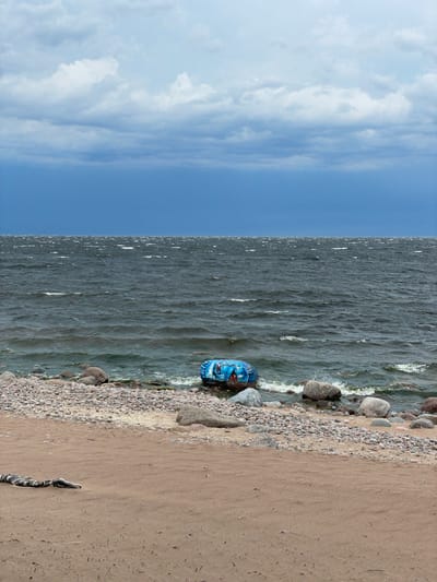 An inflatable tube with a painted fish face is partially submerged in choppy, dark water near the shore of a pebble and sand beach. The sky above is overcast with dramatic, dark clouds. The scene appears to be the shore of Luzhki, Russia, based on the context provided. A dark and white striped object, possibly a piece of fabric or clothing, lies on the sand in the foreground. Large, grey rocks are scattered along the shoreline. The water is restless, with whitecaps indicating strong winds.