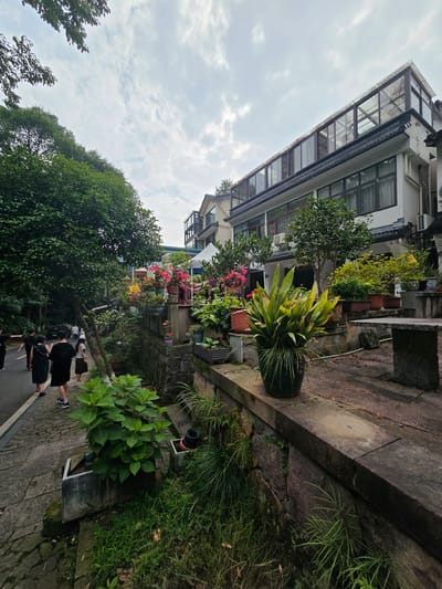 The image depicts a street scene in Xihu District, China, featuring a building with a glass-enclosed upper level, adorned with numerous potted plants and flowers along its exterior. In the foreground, a stone pathway runs alongside a low stone wall, on top of which are more plants, including a large potted plant with broad, green leaves. Several people are walking on the asphalt road to the left of the pathway, dressed casually. The building appears to be a multi-story structure with a traditional tiled roof at the lower levels and modern glass additions at the top. Lush green trees and foliage surround the area, suggesting a well-maintained outdoor space within an urban environment. The sky is overcast.
